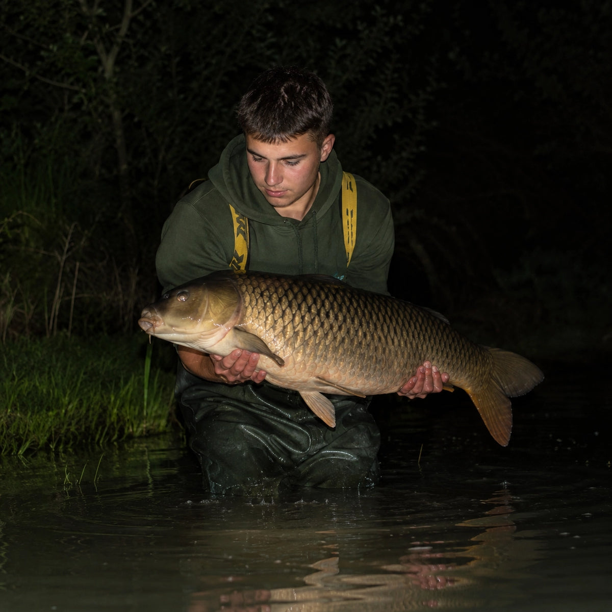Carpe commune capturée de nuit sur un parcours carpe à toute heure de Dordogne
