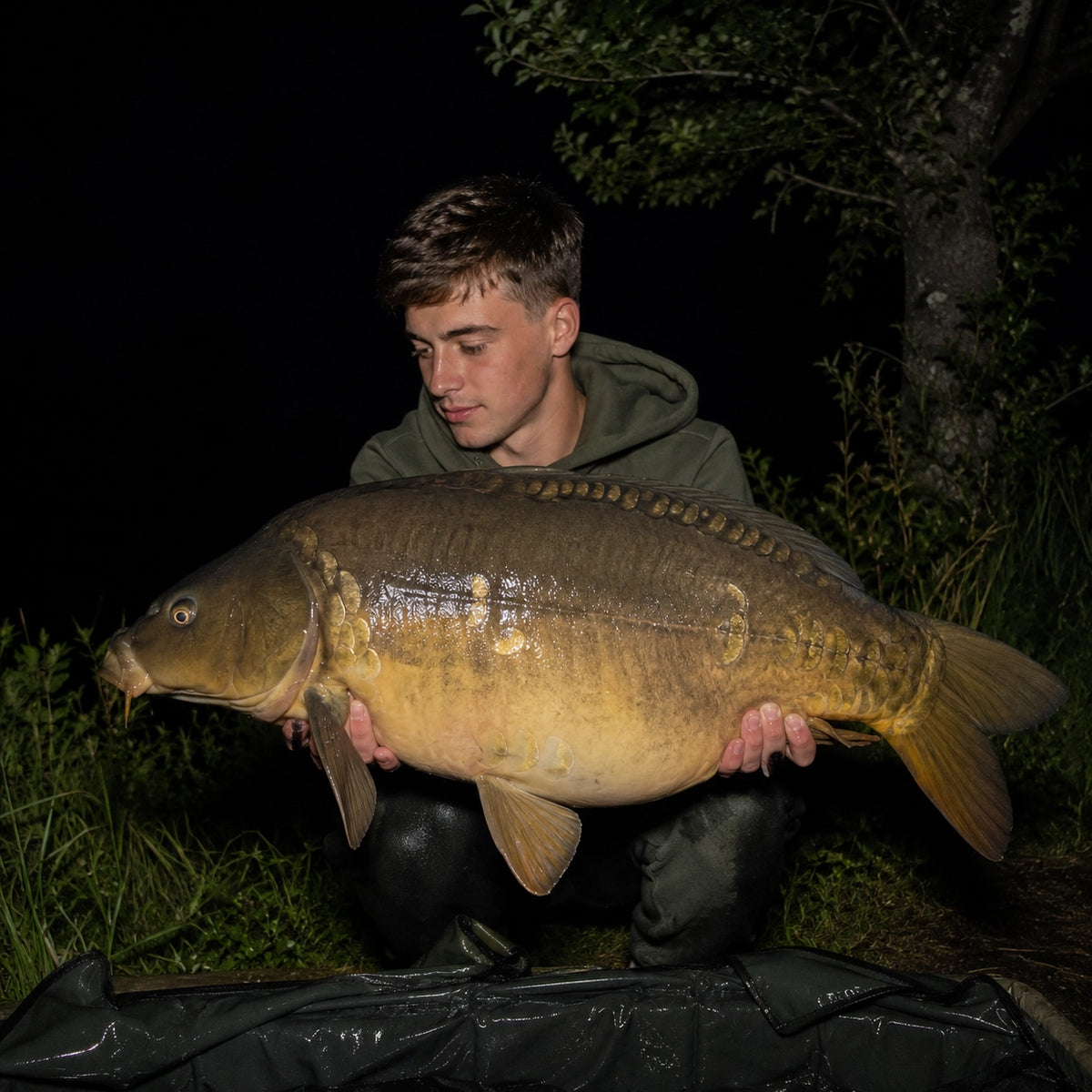 Carpe miroir capturée de nuit au lac de Montbel en Ariège