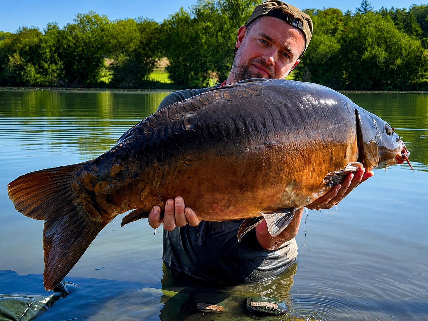 Carpe Tout Savoir Sur Ce Poisson D eau Douce Magnifixcarp carpe-tout-savoir-sur-ce-poisson-d-eau-douce-magnifixcarp