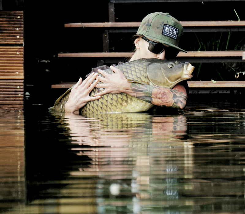 Gros plan sur une carpe en eau douce