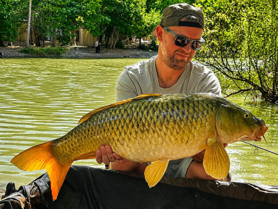 Carpe prise avec les appâts Magnifixcarp