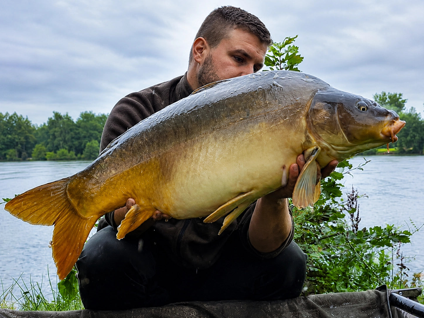 Carpe Tout Savoir Sur Ce Poisson D eau Douce Magnifixcarp carpe-tout-savoir-sur-ce-poisson-d-eau-douce-magnifixcarp
