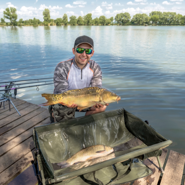 Pêcheur sur ponton tenant une carpe miroir avec une carpe commune posée sur le tapis de réception, deux variétés de Cyprinus carpio