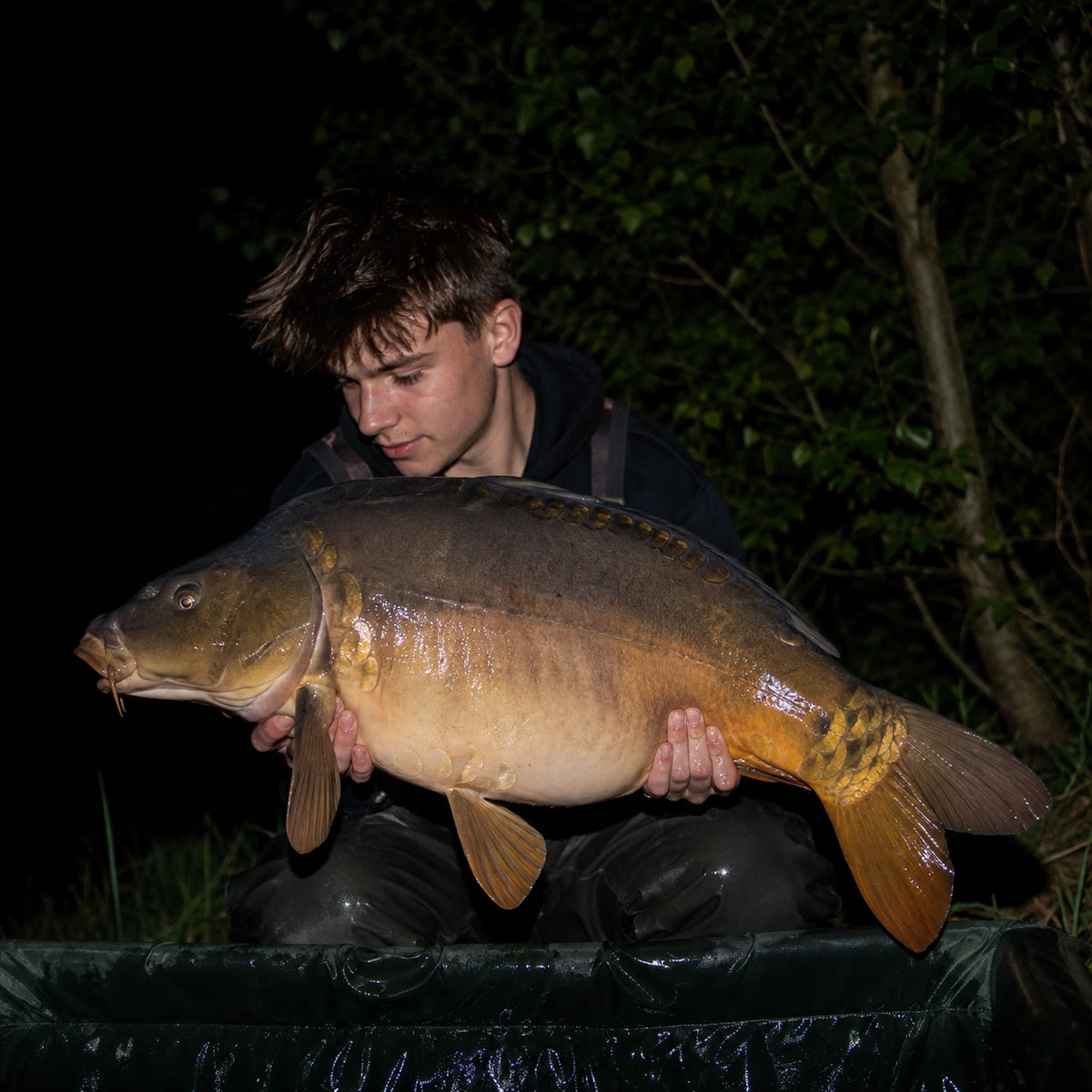 Carpe miroir prise de nuit sur un étang du Doubs ouvert à la pêche de nuit