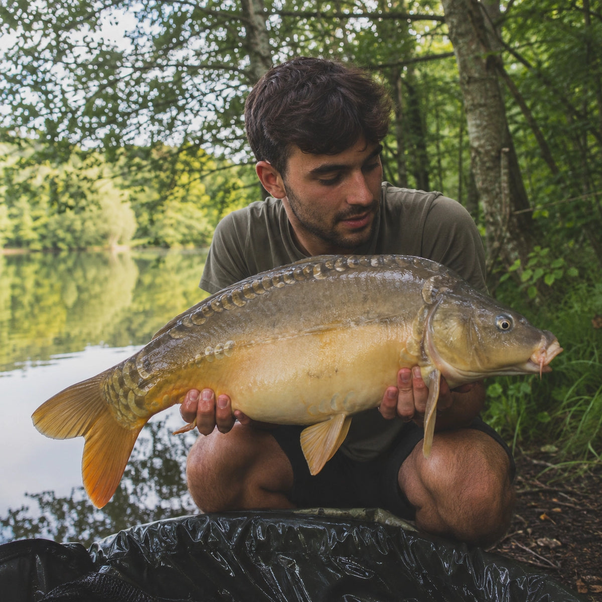 Carpiste posant avec une carpe miroir avant sa remise à l'eau