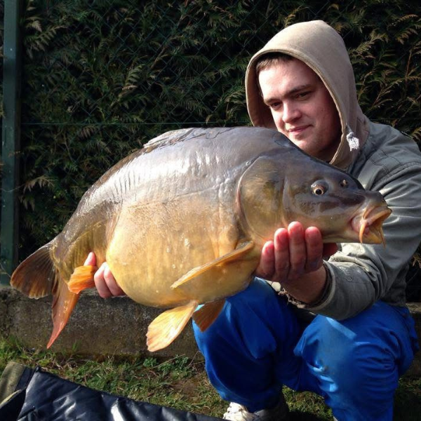 Carpe miroir tenue par un pêcheur montrant la ligne latérale sur ses flancs dorés
