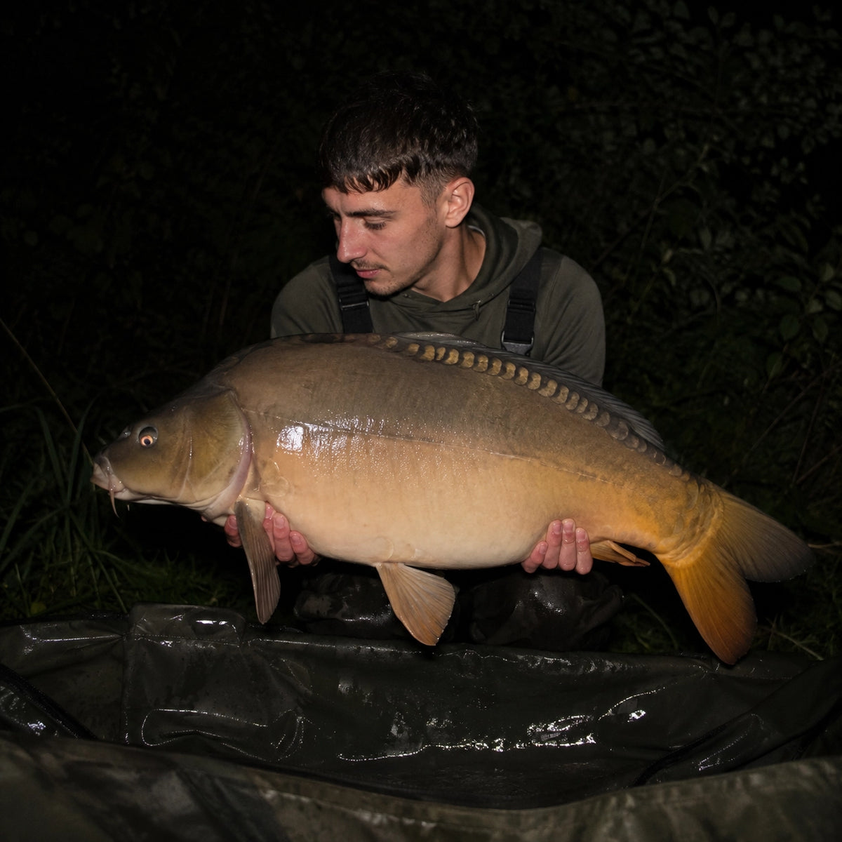 Carpe miroir capturée de nuit sur un lac classé carpe de nuit