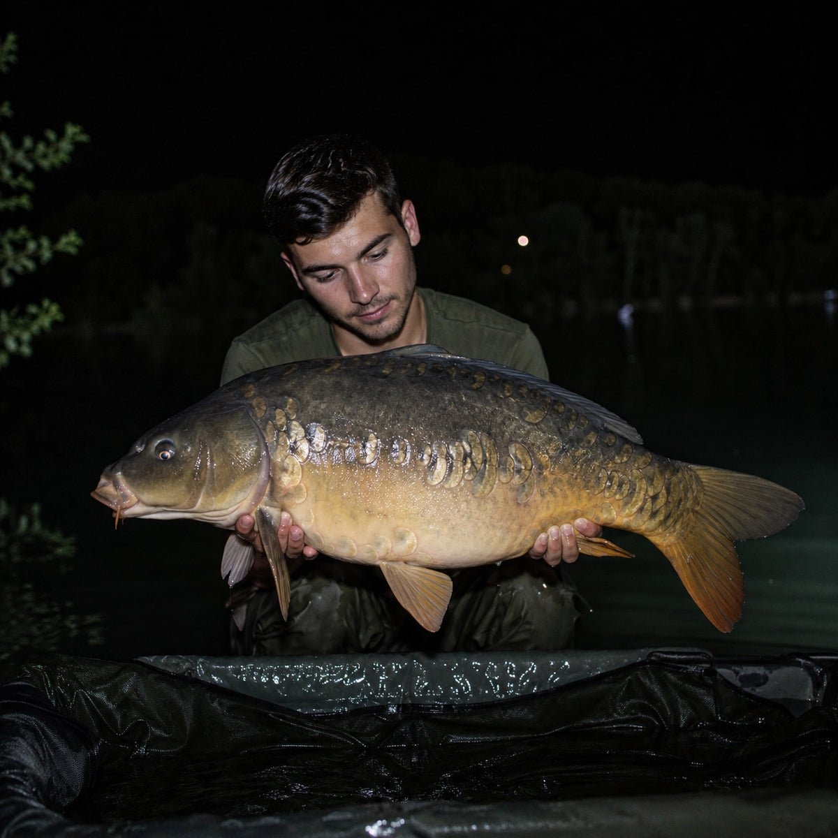 Carpe miroir capturée de nuit sur le Rhône drômois