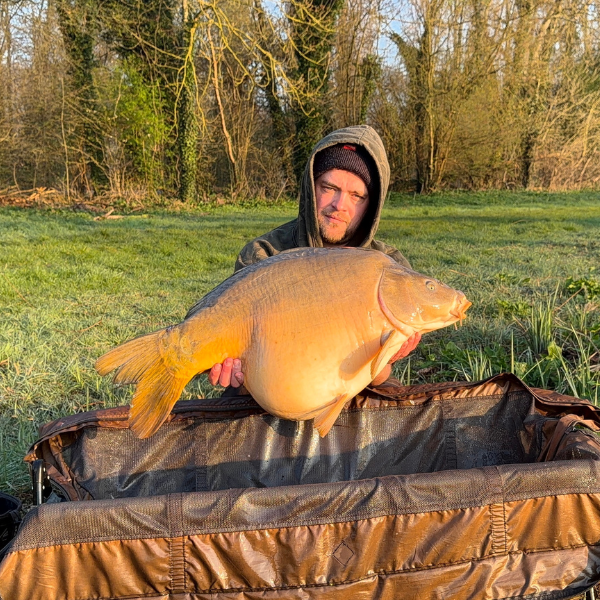 Carpiste tenant une grosse carpe miroir sur tapis de réception lors d'une session de pêche à la carpe en hiver