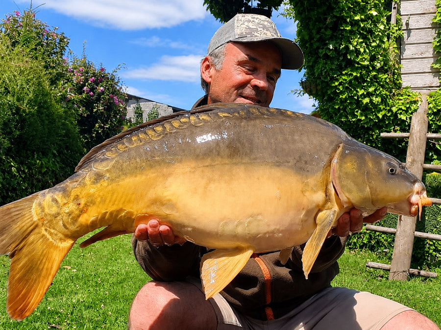Carpe prise avec les appâts Magnifixcarp