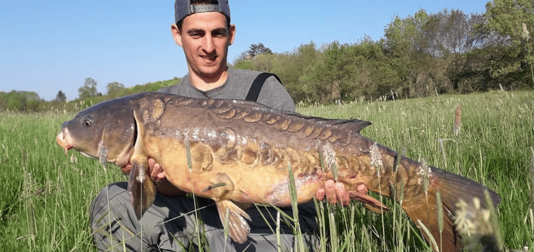carpe de riviere