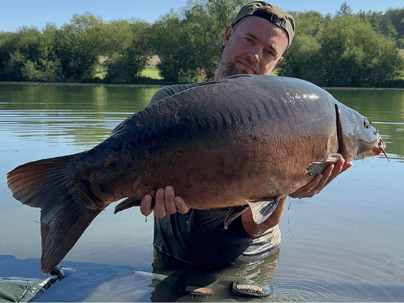carpe en lac