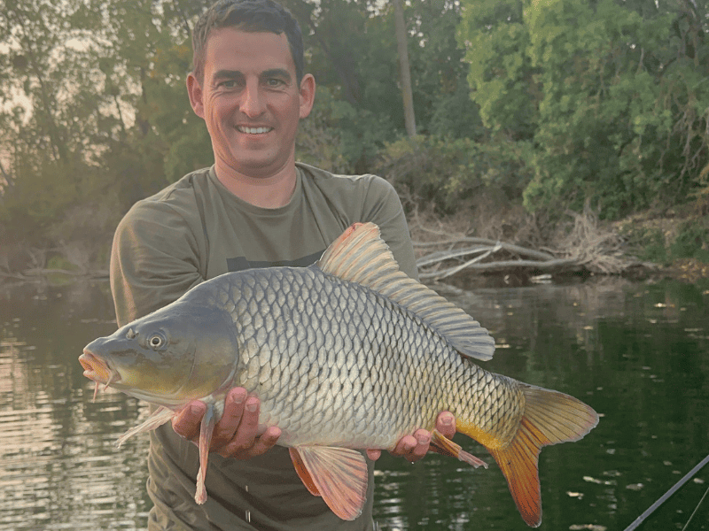 carpe en rivière