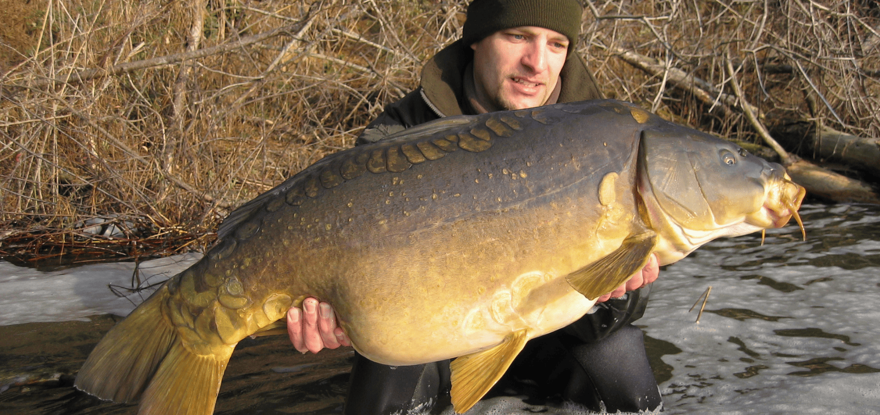 carpe miroir record