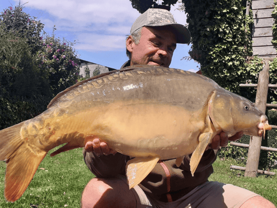 carpe poisson