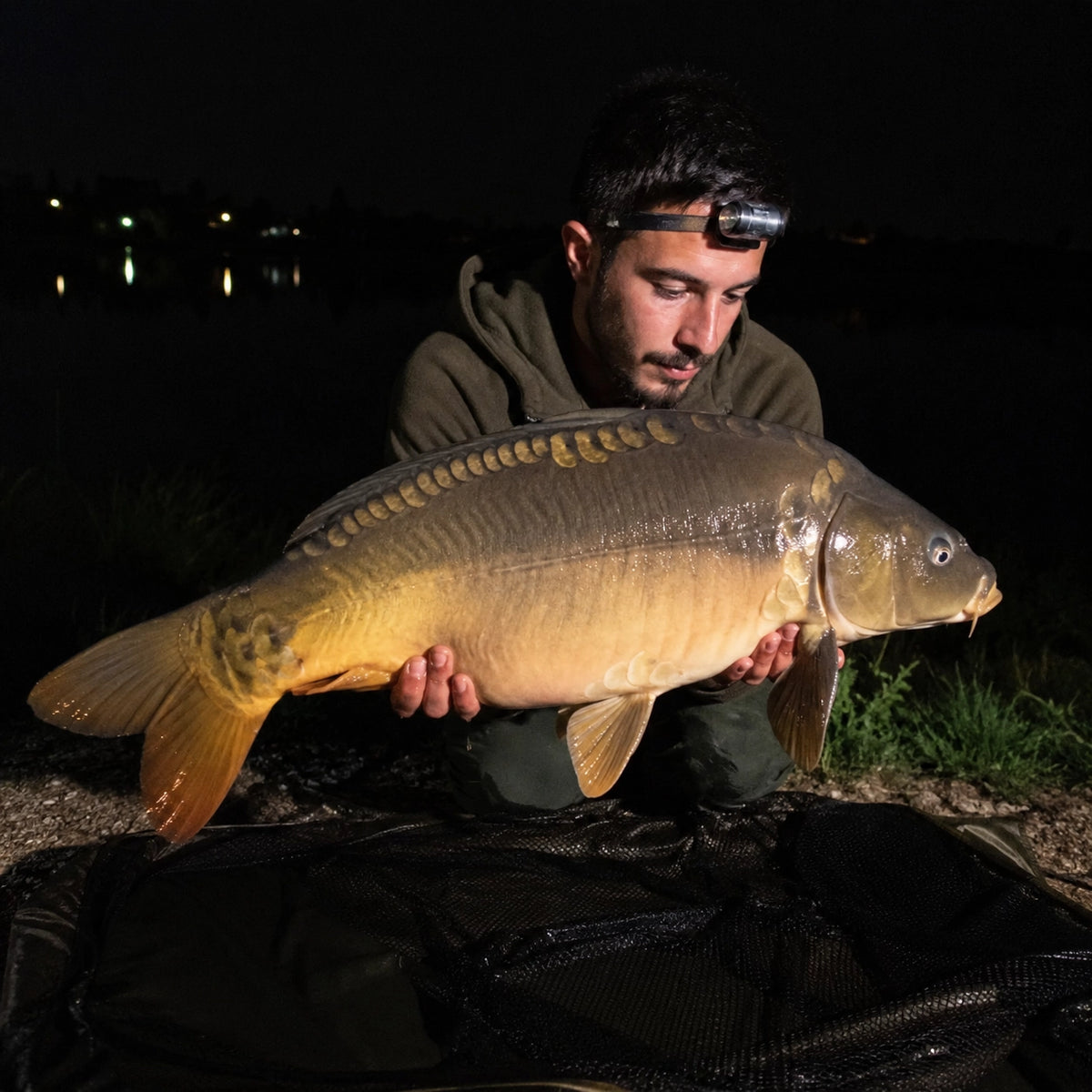 Carpiste à la frontale avec une carpe miroir prise de nuit en Gironde
