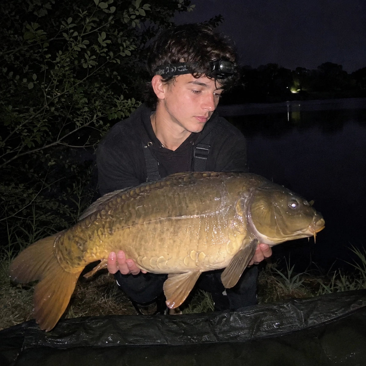 Carpiste à la frontale avec une carpe miroir prise de nuit