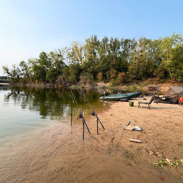 choisir technique carpe