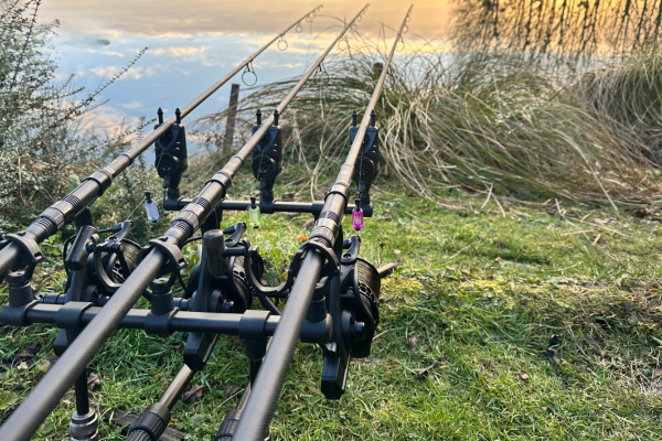 collaboration Magnifixcarp