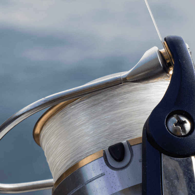 daiwa moulinet carpe