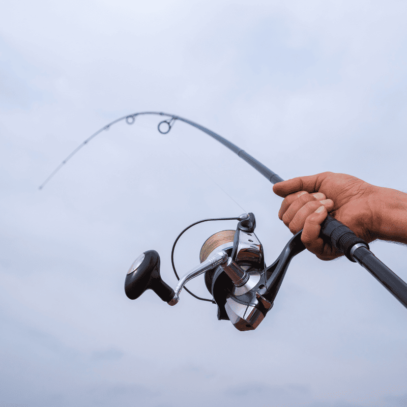 decathlon moulinet carpe