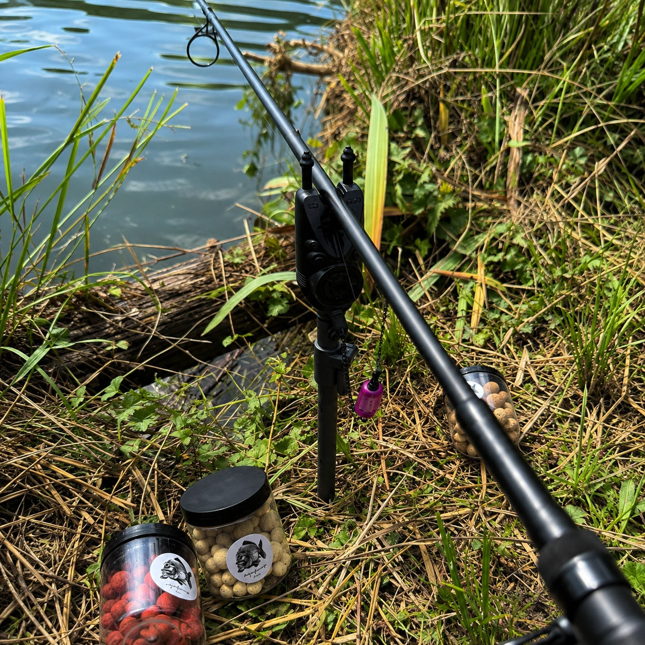 Détecteur sur canne au bord de l'eau à côté de bouillettes Magnifixcarp