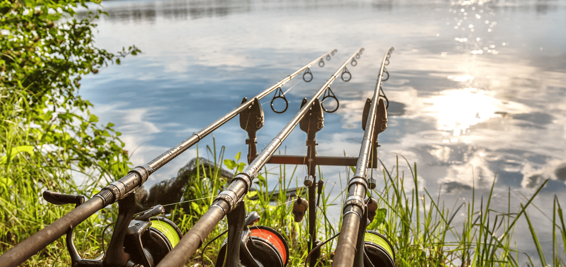 détecteur de touche carpe