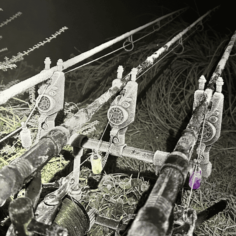 detecteur peche carpe