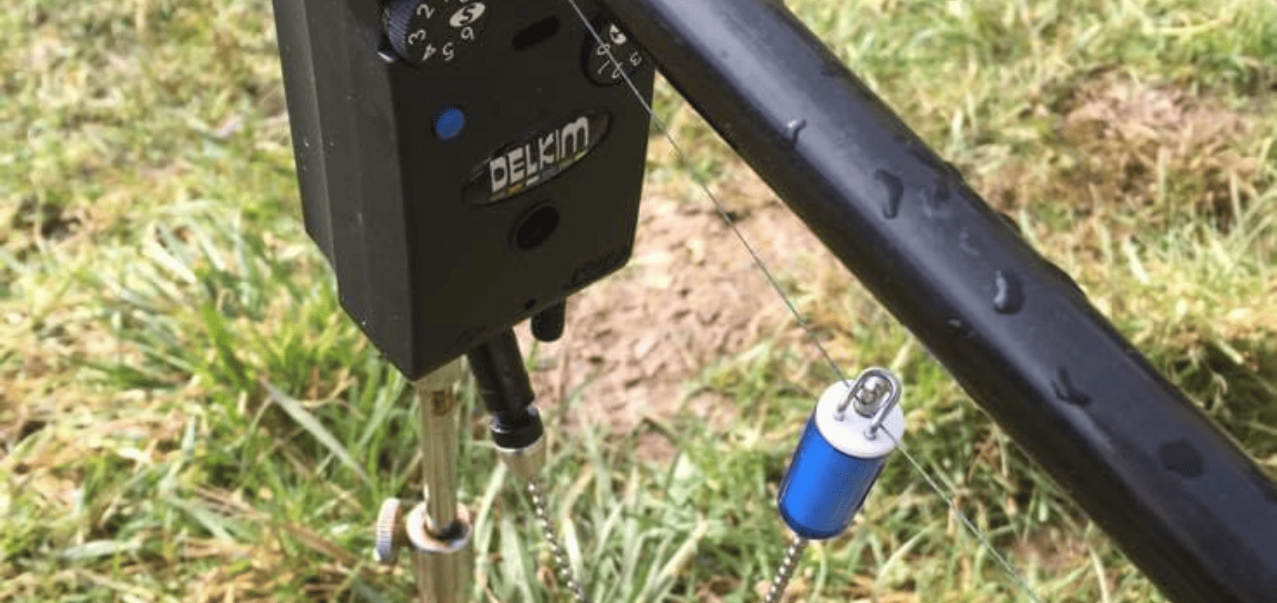 detecteur pour la carpe