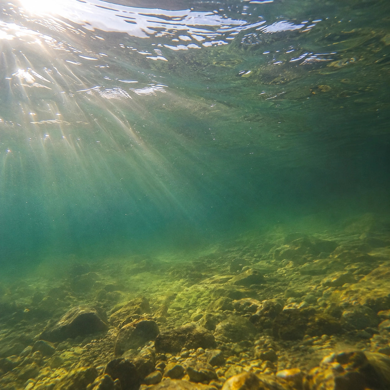 Lumière traversant l'eau jusqu'au fond de galets d'un plan d'eau peu profond
