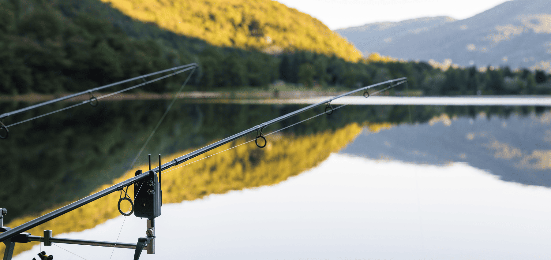 différence entre un lac et un étang