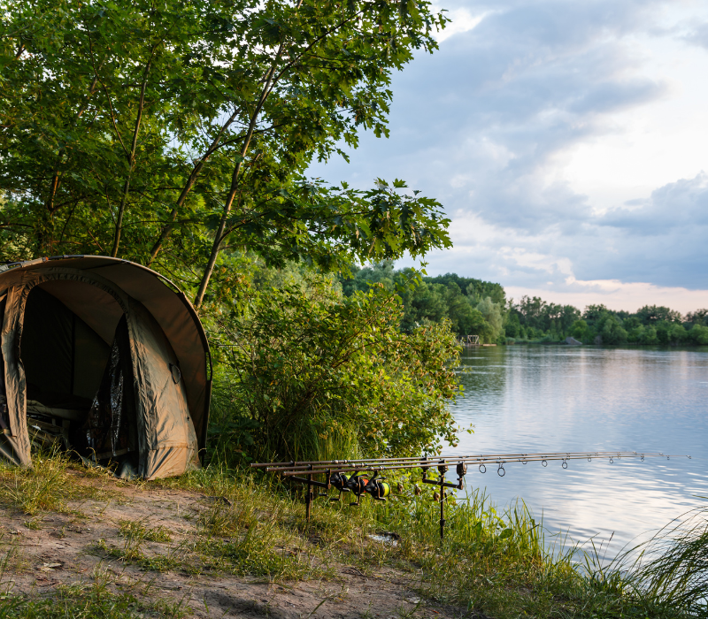 endroit de pêche à la carpe