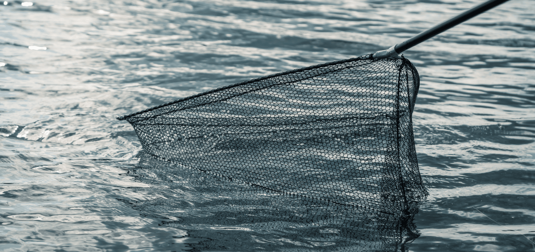 epuisette pour carpe