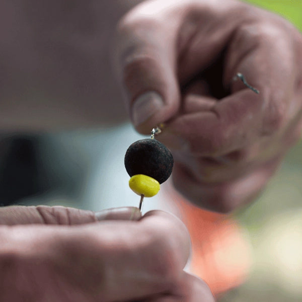 Eschage d'une bouillette et d'un grain de maïs sur cheveu pour la pêche à la carpe