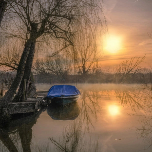 Étang à carpes français au lever du soleil avec barque amarrée et saule pleureur
