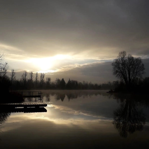 Étang français au lever du soleil dans la brume, ambiance typique d'une matinée carpiste