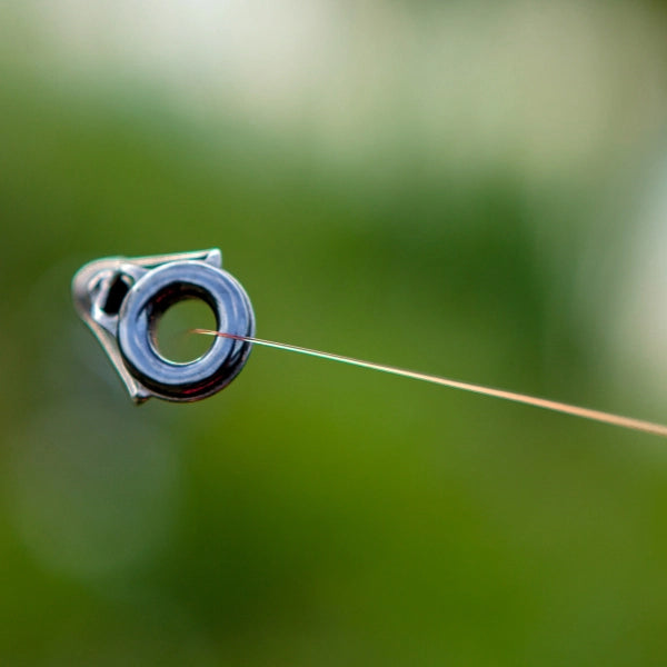 Fil de pêche carpe sortant de l'anneau de tête d'une canne