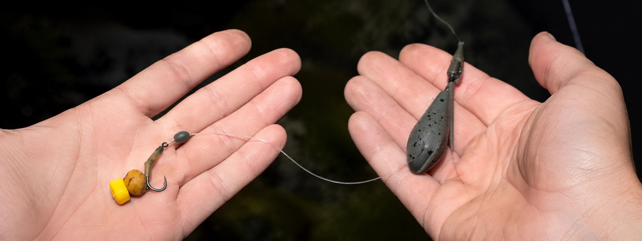 Bas de ligne carpe avec appât et plomb poire tenus dans les mains au bord de l'eau