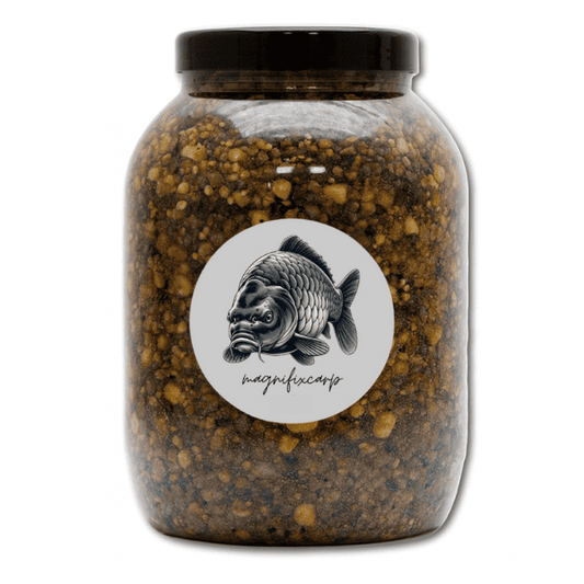 graine peche carpe