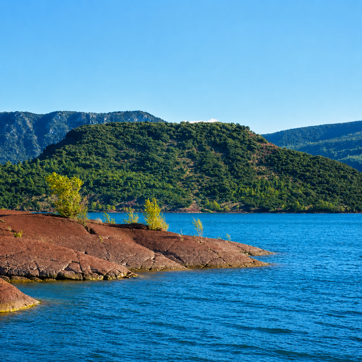 Grand lac aux eaux turquoise brassées par le vent, conditions favorables qui oxygènent l'eau et activent les carpes sur les berges exposées
