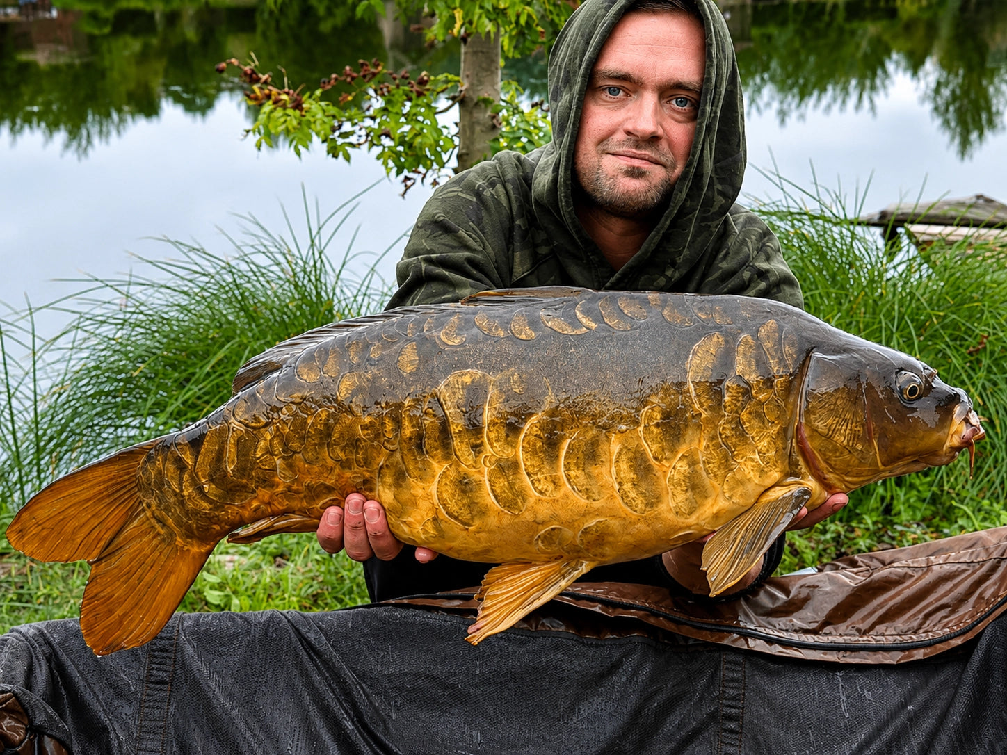 Carpe Tout Savoir Sur Ce Poisson D eau Douce Magnifixcarp carpe-tout-savoir-sur-ce-poisson-d-eau-douce-magnifixcarp