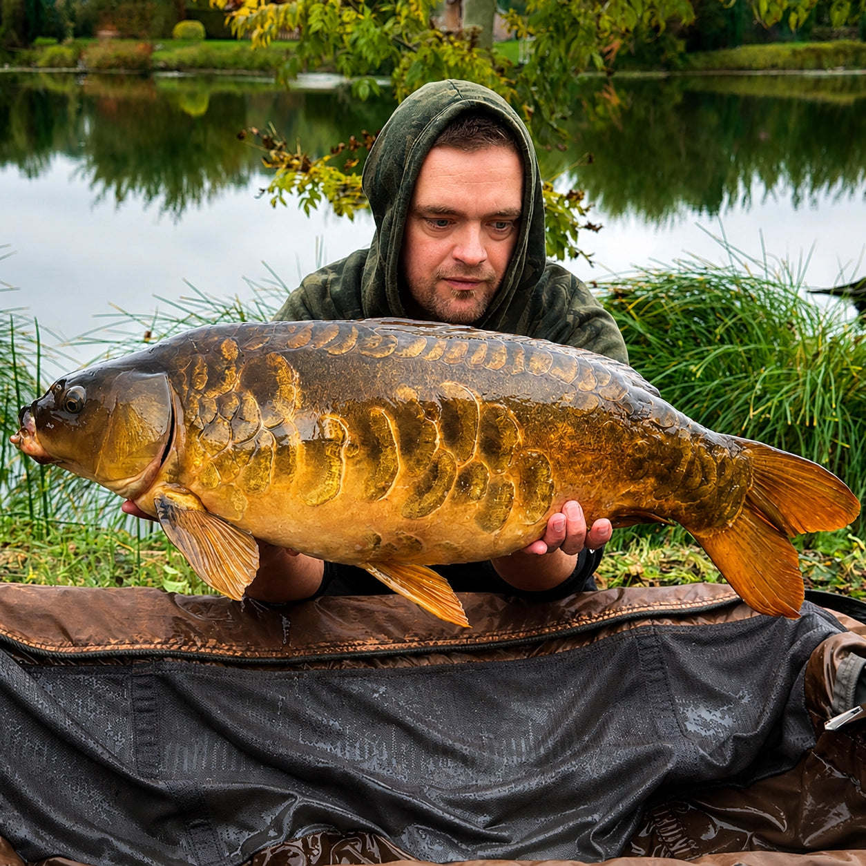 Guillaume Desesquelles avec une superbe carpe miroir fully sur tapis de réception