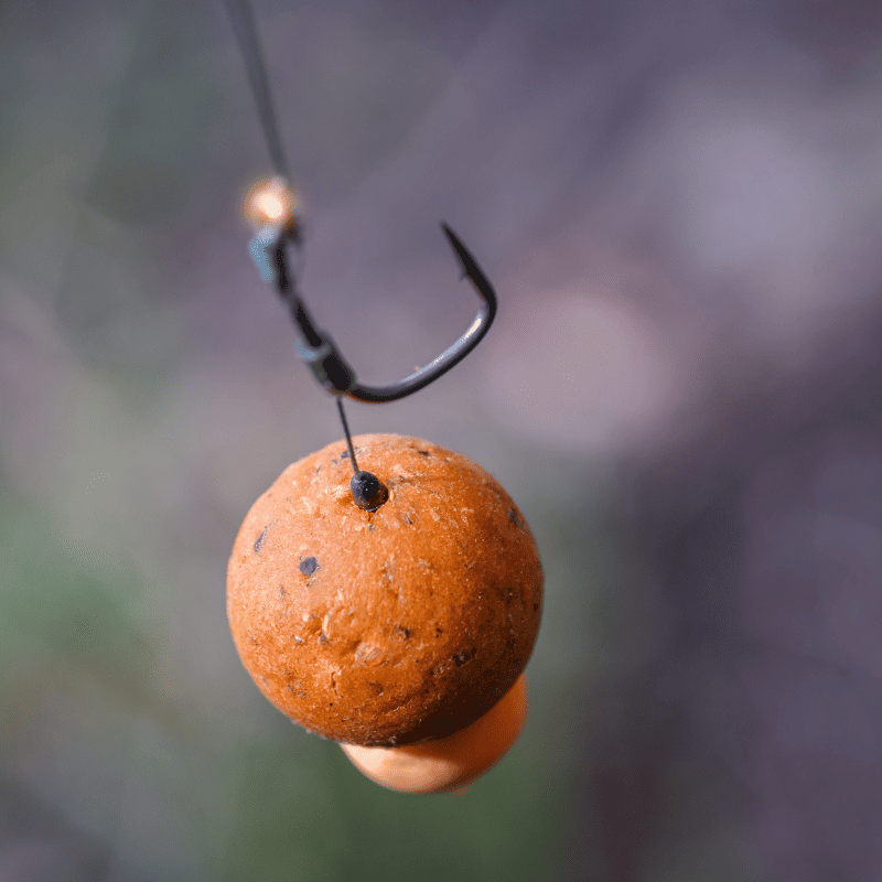 hamecon bouillette carpe