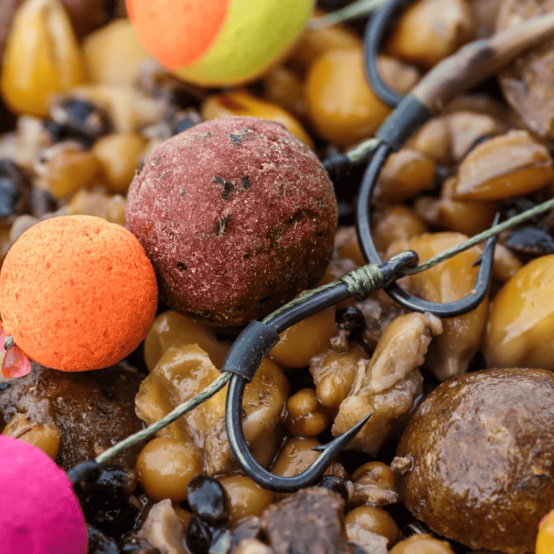 hamecon carpe fort de fer