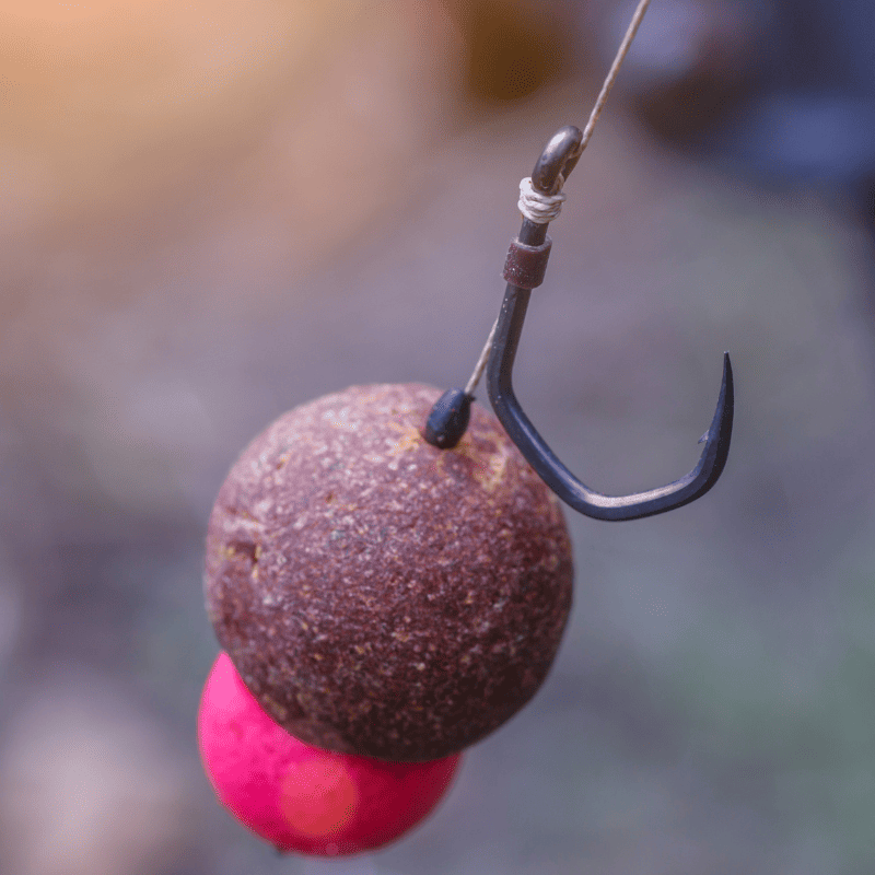 hamecon carpe riviere