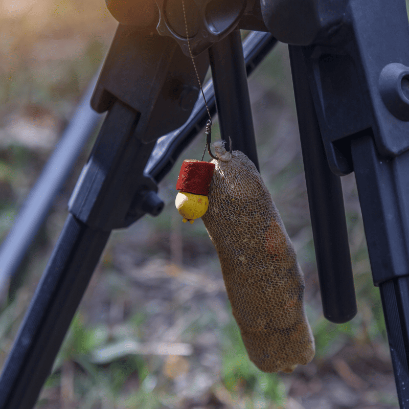 hamecon fort de fer carpe