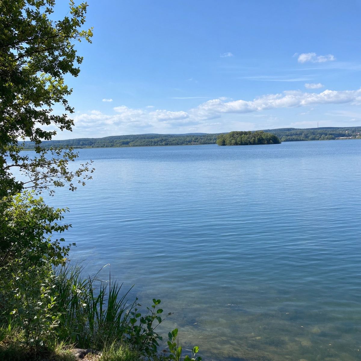 Lac de Léry-Poses, dans l'Eure, où la carpe se pêche uniquement de jour