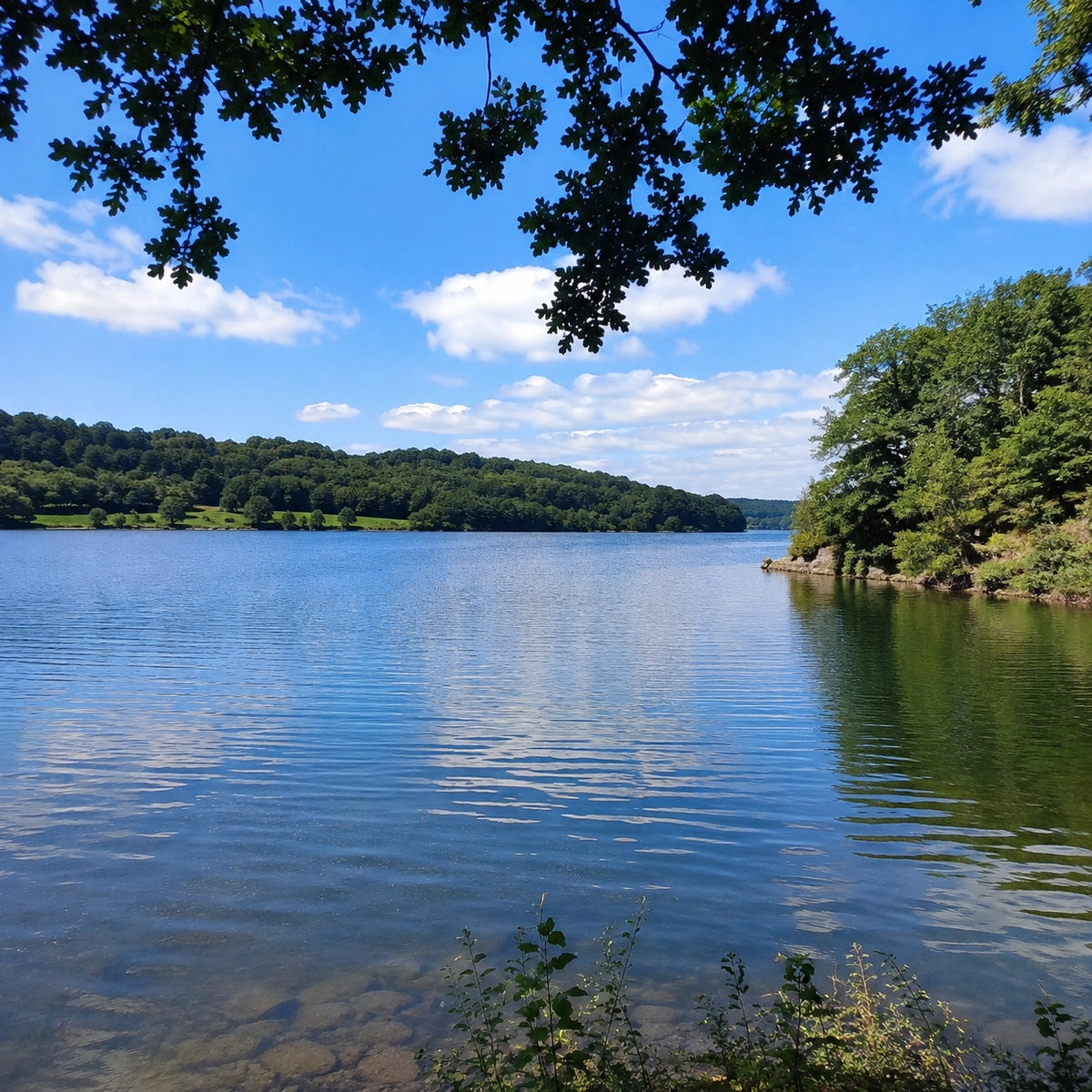 Lac tranquille sous un ciel bleu, illustrant la pêche de la carpe en domaine privé dans les Côtes-d'Armor