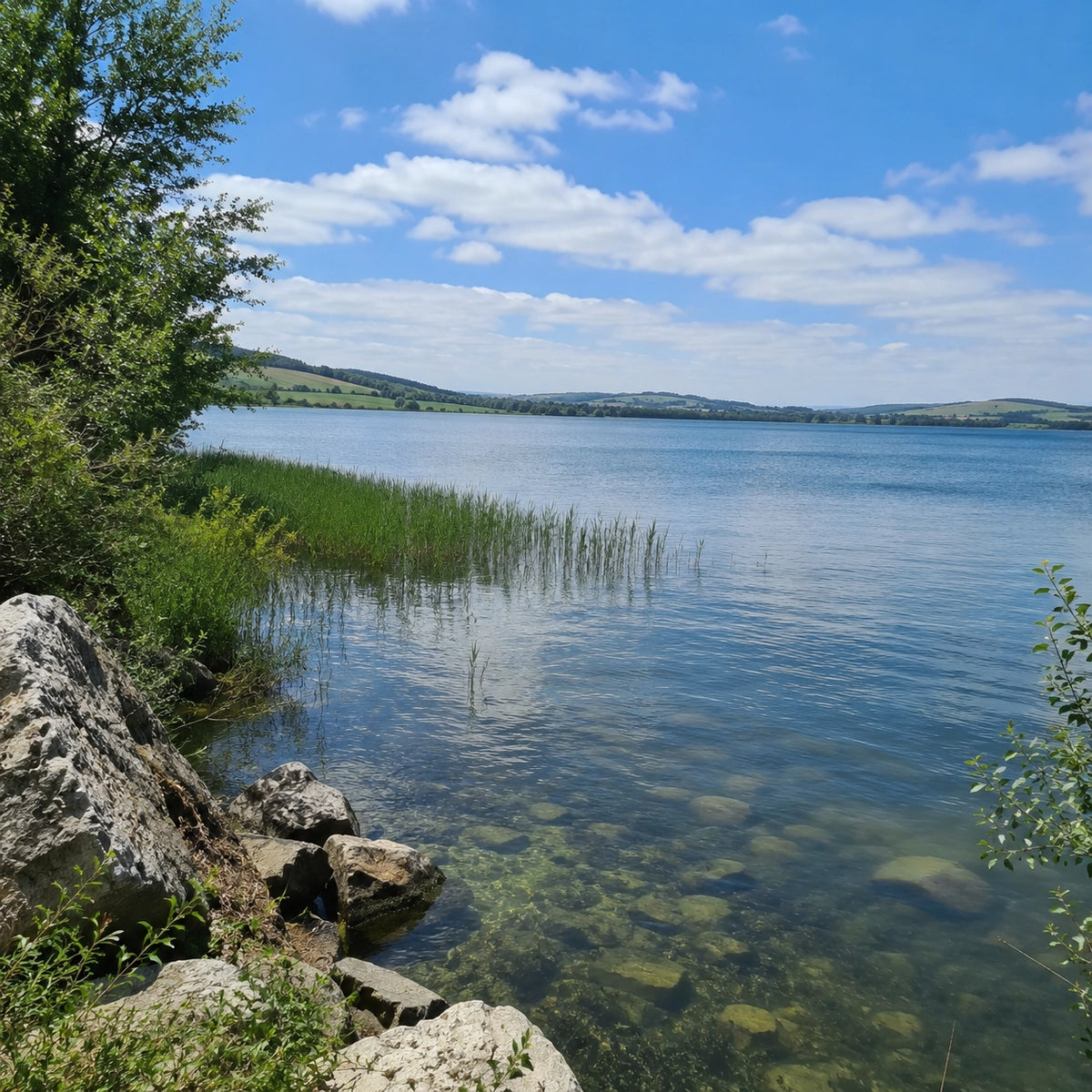 Lac de barrage du Lévézou aux berges de roselières en Aveyron