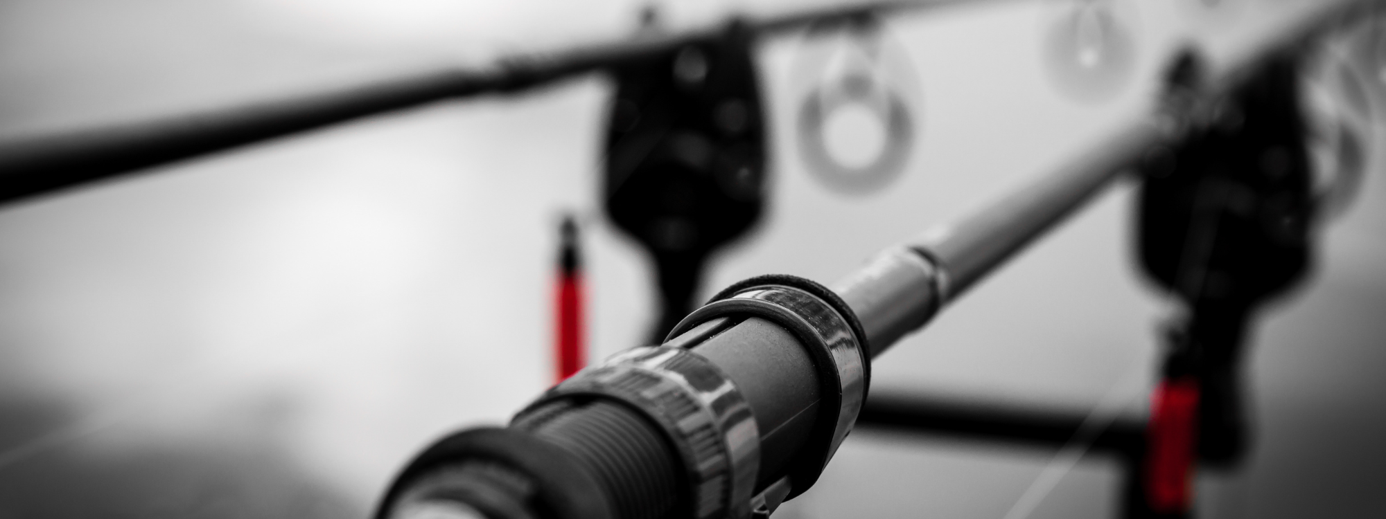 le matériel de pêche à la carpe